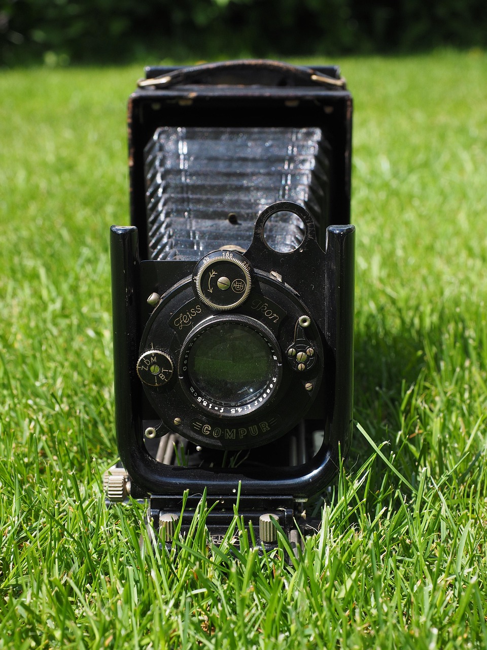 Biaya dan Persyaratan Pembuatan Paspor di Pesawaran 2025